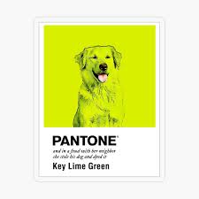 Key Lime Green Dog Bright Variant By Ohdaintyduck Redbubble In 2020 Lime Green Key Lime Lime