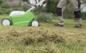 Damit Der Rasen In Ihrem Garten Ohne Schaden Durch Den Nachsten Winter Kommt Braucht Er Im Herbst Noch Etwas P Richtig Vertikutieren Rasenpflege Vertikutieren