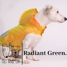 oli and lui radiant green tum oli and lui urunleri ve alisveris icin oliandlui com instagram presents green