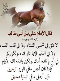 pin by mukh on screenshots wisdom quotes life knowledge quotes funny arabic quotes