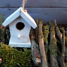 Belajar bikin aviary mini, masih dalam proses Aviary Branches Moss Weave Bird Feeder Mini Nest Bird Piqsels
