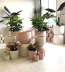 Showroom Now Open On The Side Plant Pot Diy Flower Pots Artificial Plants Decor