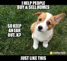 10 Hilarious Examples Of Real Estate Marketing Real Estate Slogans Real Estate Humor Real Estate Memes