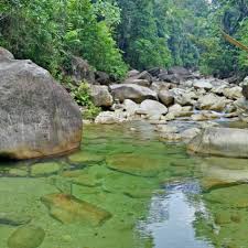 Asri mahmud dan pengunjung setia hutan lipur bukit bakar, wan mohd. Hutan Lipur Lata Payung Setiu Terengganu Malaysia Home Facebook