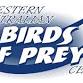 Birds of a Prey