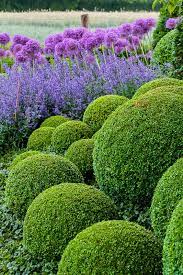 Miquel Tres Focus On Garden Fine Photography Topiary Garden Boxwood Garden Garden Pictures