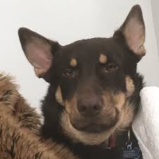 eddwk (Edd Kerr) · GitHub