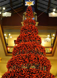Christmas and tasty food go hand in hand, especially in the netherlands, where they hang biscuits in the shape of christmas wreaths, called kerstkransjes, on their trees. All Around The World The Most Fun And Beautiful Christmas Trees From The Vatican To The Rockefeller Center Green News Catholic Online