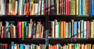 Bookcase Zoom Background Download Free Virtual Backgrounds Books Travel Book Books To Buy