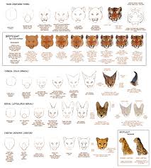 How To Draw Big Cats Part 2 By Tamberella On Deviantart Cat Drawing Tutorial Big Cats Art Animal Drawings