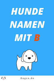 pin auf hundenamen