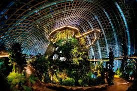 While i was there, i learned that the cloud forest touts the world's largest indoor waterfall. Gardens By The Bay Attractions In Singapore Park Hotel Group