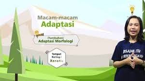 Ilmu pengetahuan alam (ipa) grade/level: Ipa Kelas 6 Penyesuaian Diri Makhluk Hidup Youtube