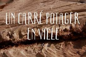 Un Carre Potager En Ville Carre Potager Potager Carre