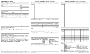 wilderness medicine training centers patient soap notes