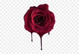 Maybe you would like to learn more about one of these? Report Abuse Wine Rose Flower Png Free Transparent Png Clipart Images Download