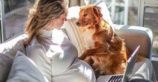 Some dogs may go into labor early while others may take their time and reach 70 days from gestation. Can Dogs Sense Pregnancy Predict Labor Research Says Maybe
