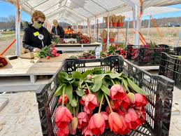 The crew will be heading over...