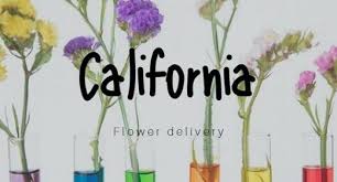 The enchanted florist proudly serves palm bay and the surrounding areas. The 9 Best Options For Flower Delivery In Ann Arbor Michigan 2021