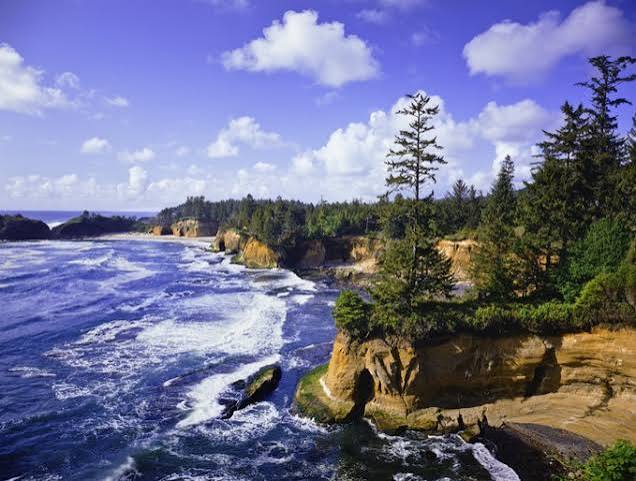 The Ultimate Ways for Sightseeing in Depoe Bay - Whale Cove Inn
