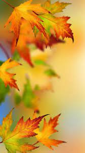 Samsung Galaxy S7 And S7 Edge Alternative Wallpapers With Autumn Leaves Hd Wallpapers Wallpapers Download High Resolution Wallpapers Autumn Leaves Wallpaper Fall Wallpaper Autumn Leaves