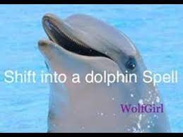 Maybe you would like to learn more about one of these? Dolphin Spell Youtube