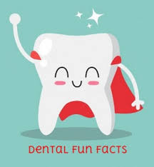 The best dental coverage depends on the type of treatment being offered. Fun Dental Facts Shocking And Surprising Dentist Brandon Ms