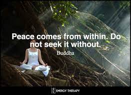 Many happy people realize happiness is a choice and it's up to them to intentionally choose it every single day. Peace Comes From Within Do Not Seek It Without Energy Therapy
