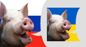 images?q=tbn:ANd9GcRrhipSMjEvtr0B7871oJ5