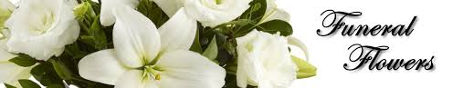 We did not find results for: Dundee Florist An Omaha Florist Since 1947 675 No 50th Street Omaha Ne Call 402 551 2442