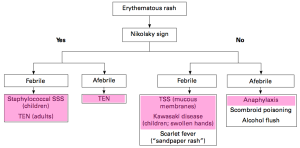 Emdocs Net Emergency Medicine Educationwhats That Rash