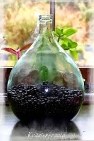 Beim Krauterfraala Selbstgemachter Schlehenwein 2 Die Maische Schlehen Maische Selbstgemacht