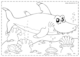 Un set amuzant cu planșe a4 de colorat care prezintă animalele marine. Planse De Colorat Animale Marine Si Polare Coloring Free To Print