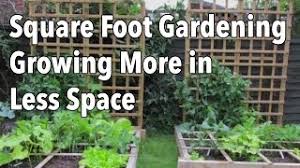 To make plant spacing easier, many gardeners will make a plant spacing grid. Planning A Square Foot Vegetable Garden