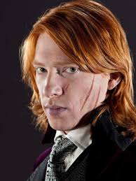 Bill Weasley Wedding Portrait Harry Potter Fan Zone William arthur bill weasley is the first child of arthur and molly weasley, making him the eldest of the weasley siblings. bill weasley wedding portrait harry