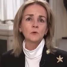 Democrat Rep. Madeleine Dean admits responsibility for the shutdown and  says it was a success: “By shutting the government down, we were able to  focus