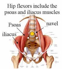 Jul 30, 2020 · the muscles of the abdomen, lower back, and pelvis are separated from those of the chest by the muscular wall of the diaphragm, the critical breathing muscle. Check Your Hips For Back Pain Total Sports Therapy
