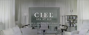 luxury hotels in beverly hills miami sls hotels