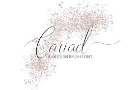 French script mt is the perfect font for all your fun designs. Cariad A Modern Script Font 228244 Script Font Bundles