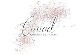 Passion for all things hair and beauty! Cariad A Modern Script Font 228244 Script Font Bundles