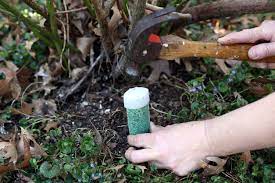 We suggest application in the spring for deciduous fruit trees. Are Fruit Tree Fertilizer Spikes Effective When Should You Fertilize Fruit Trees With Spikes