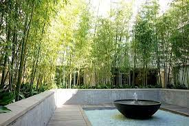 Maybe you would like to learn more about one of these? 70 Bamboo Garden Design Ideas How To Create A Picturesque Landscape