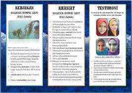 Menjual rumpai laut kolagen segar dari semporna, sabah, malaysia collagen seaweed sebab itu rumpai laut ini kurang mendapat perhatian dan dipasarkan. Rumpai Laut Sebagai Herba Rawatan Kesihatan Dan Kecantikan Pengedar Kolagen Rumpai Laut Asli Gred Aaa
