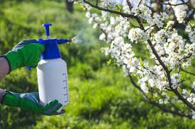 Lawn pest, disease, & weed guides. 5 Best Garden Sprayers For Misting Plants Horticulture Co Uk