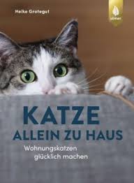 Kaum bist du aus dem haus ist mieze auf der couch. Katze Allein Zu Haus Wohnungskatzen Glucklich Machen Fischpott Test