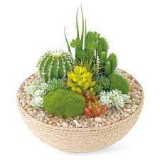 人工観葉植物 消臭アーティフィシャルグリーン エクリア ロープ鉢タイプ eclia artificial green 造花 フェイクグリーン インテリアフラワー フェイクグリーン インテリア キシマ グリーン インテリア
