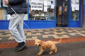 These polling station are freestanding with custom designs. Jqzff6blnqby3m
