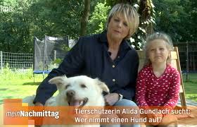 Obere bachgasse 2 93047 regensburg. Ndr Wir Suchen Ein Zuhause Tierwork E V