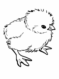 Coloriage.info te présente la plus grande sélection de coloriages pour enfants et adultes avec +21 000 coloriages à imprimer gratuitement. Coloriage Poussin 30 Dessins A Imprimer Gratuitement
