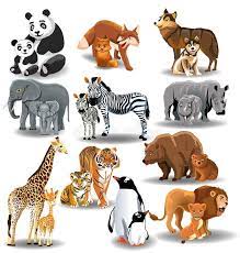 Wild Animals And Their Babies Vector Illustration Of Wild Animals And Their Bab Sponsored Sponsored Advertisement An Baby Animals Animals Animals Wild